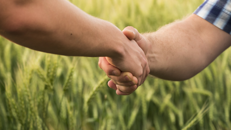 When does a promise amount to a claim in land?
