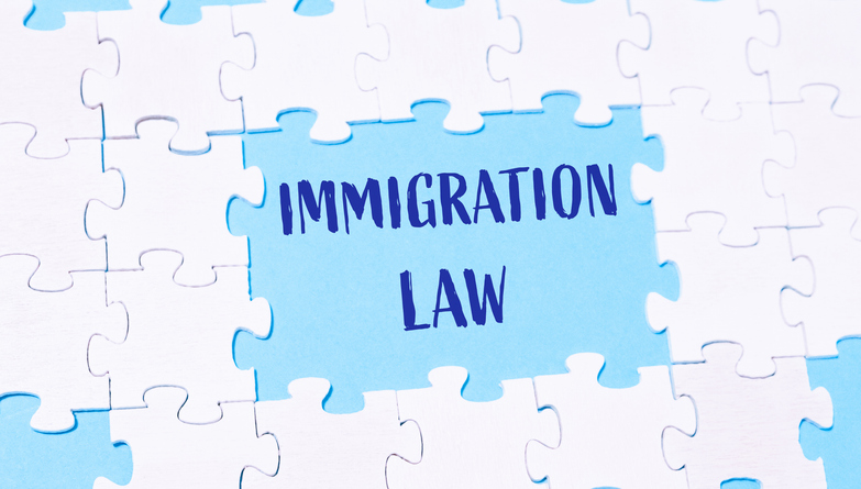 Immigration Update 2025 (online)