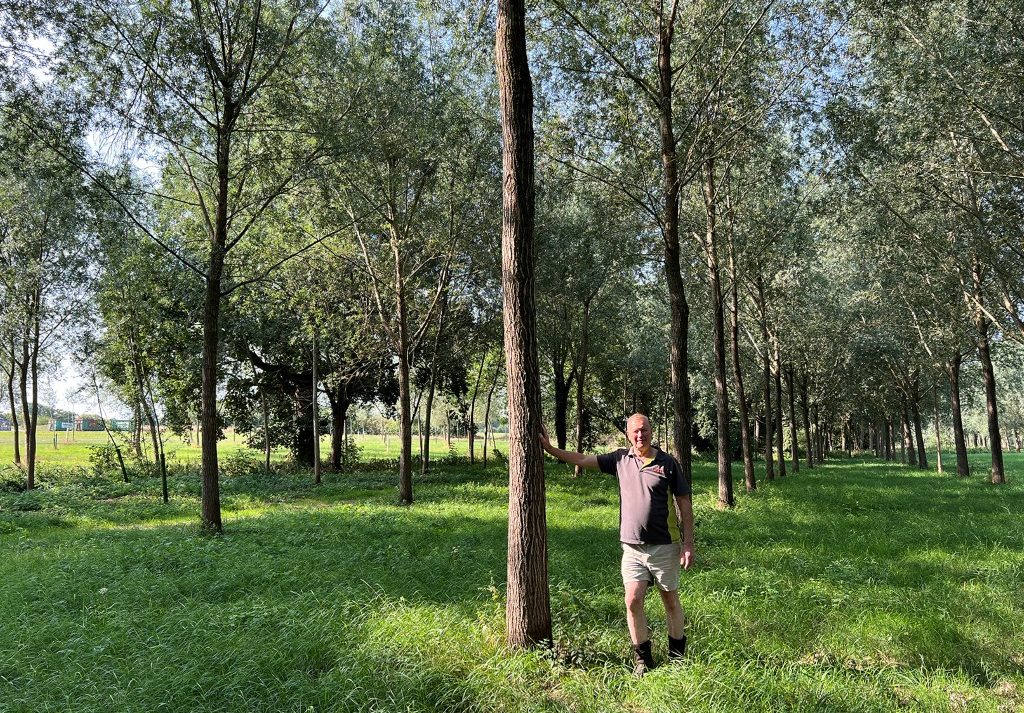 FSP advises Wyvols Court Farm Holdings Limited on acquisition of Chase Cricket Limited