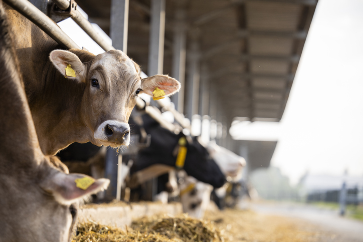 What is it: A Farm Business Tenancy (FBT)