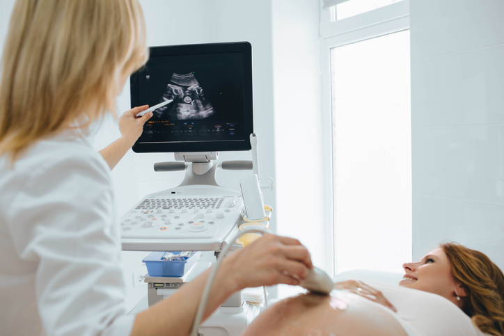 Anonymous Surrogacy: A Stern Warning from the Court