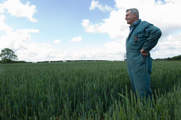 Agricultural Holdings Act 1986 Tenancies: Why Recovering Possession Remains One of the Greatest Challenges for Landlords